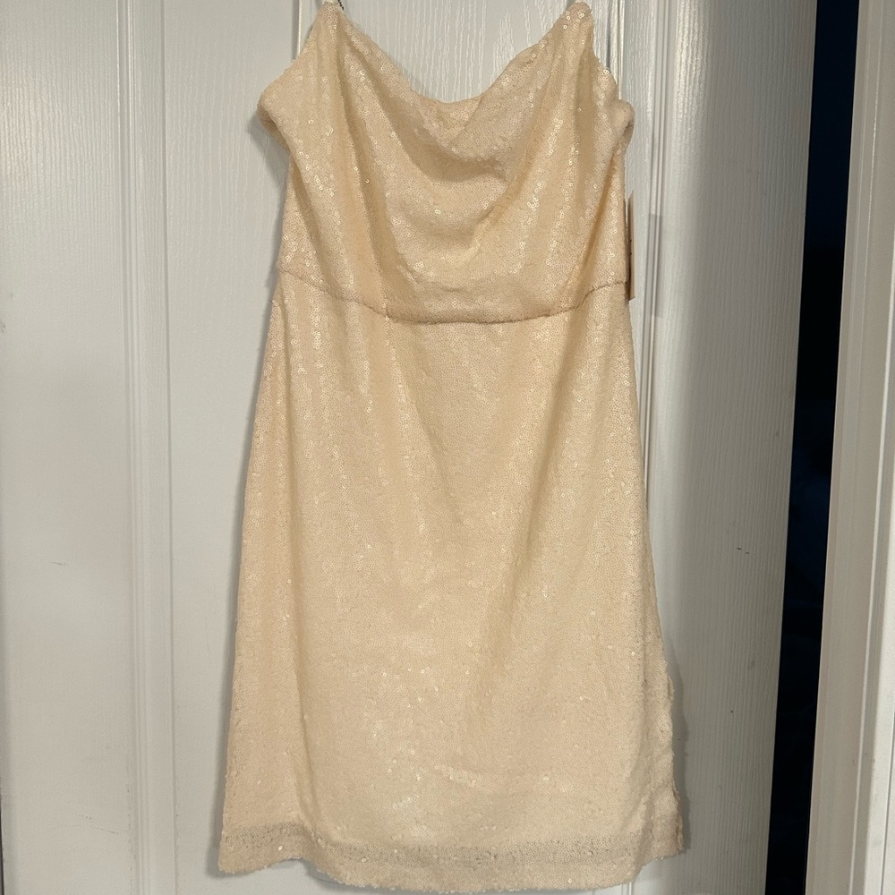 Halston Heritage Beige Sequin Dress 
CHECK OUT MY CLOSET